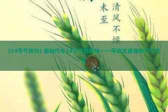 (24节气标识) 揭秘代号24节气的奥秘——带你正确理解节气文化