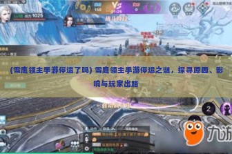 (雪鹰领主手游停运了吗) 雪鹰领主手游停运之谜，探寻原因、影响与玩家出路