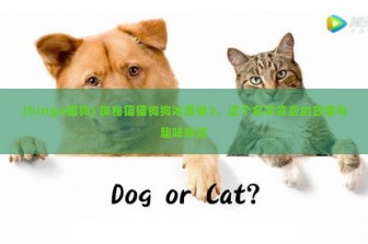 (bingo猫狗) 探秘猫猫狗狗冰淇淋3，这个名字背后的故事与趣味解读